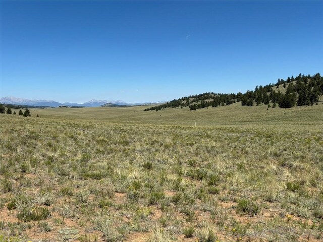3454 Fitzsimmons Rd, Hartsel, CO 80449