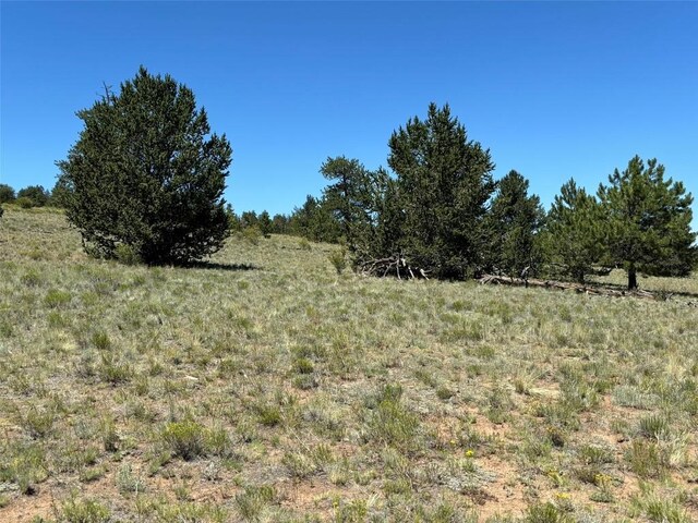 3454 Fitzsimmons Rd, Hartsel, CO 80449