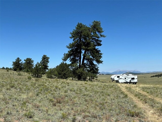 3454 Fitzsimmons Rd, Hartsel, CO 80449