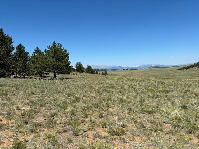 3454 Fitzsimmons Rd, Hartsel, CO 80449