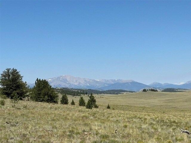 3454 Fitzsimmons Rd, Hartsel, CO 80449