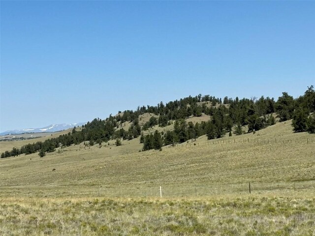 3454 Fitzsimmons Rd, Hartsel, CO 80449