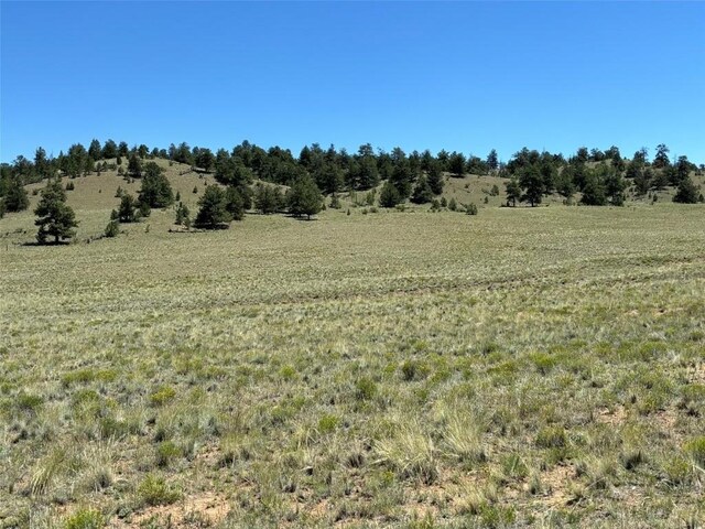3454 Fitzsimmons Rd, Hartsel, CO 80449