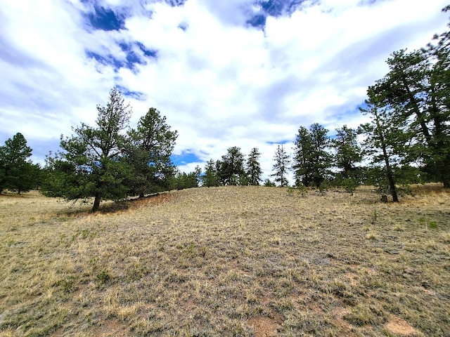59 Zion Ct, Hartsel, CO 80449 - photo 44