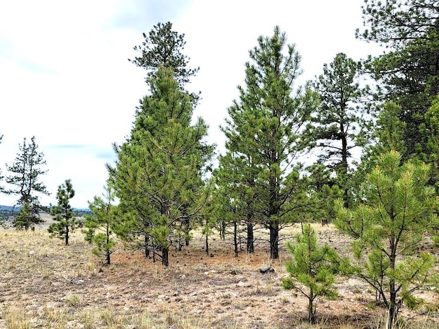 59 Zion Ct, Hartsel, CO 80449 - photo 48