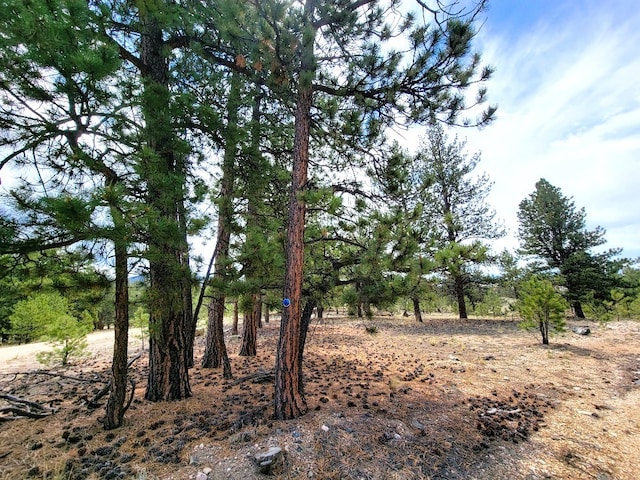 59 Zion Ct, Hartsel, CO 80449 - photo 7