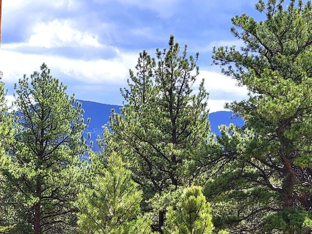 59 Zion Ct, Hartsel, CO 80449 - photo 23