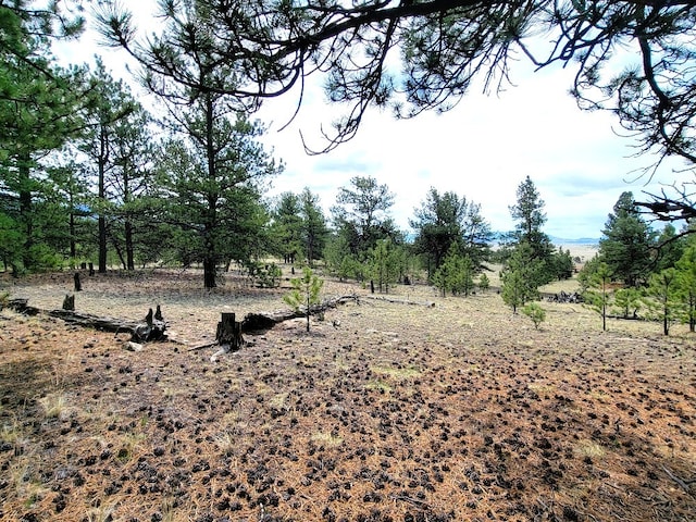59 Zion Ct, Hartsel, CO 80449 - photo 12