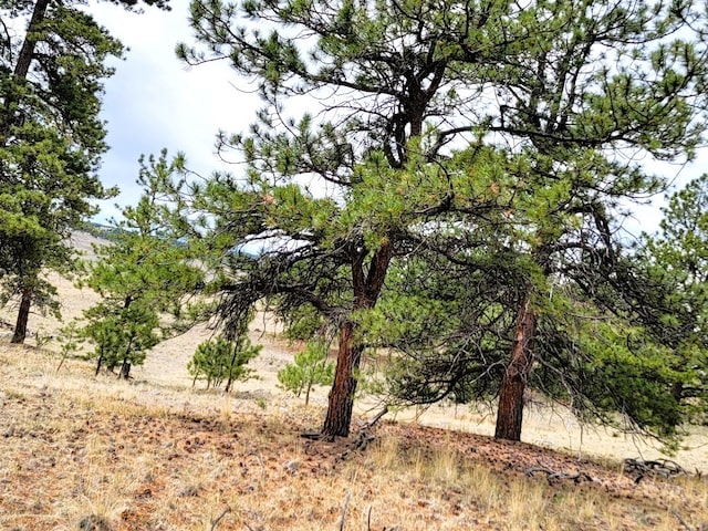 59 Zion Ct, Hartsel, CO 80449 - photo 46