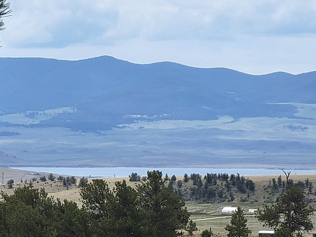 59 Zion Ct, Hartsel, CO 80449 - photo 4