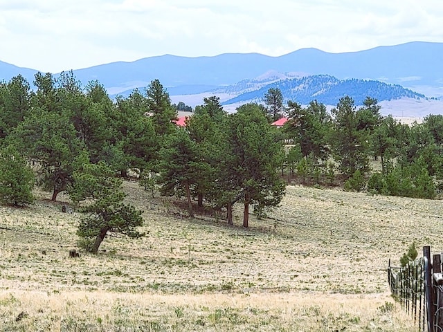 59 Zion Ct, Hartsel, CO 80449 - photo 42