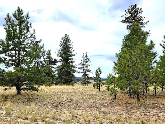 59 Zion Ct, Hartsel, CO 80449 - photo 49
