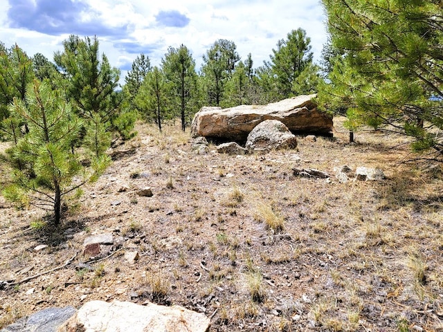 59 Zion Ct, Hartsel, CO 80449 - photo 27
