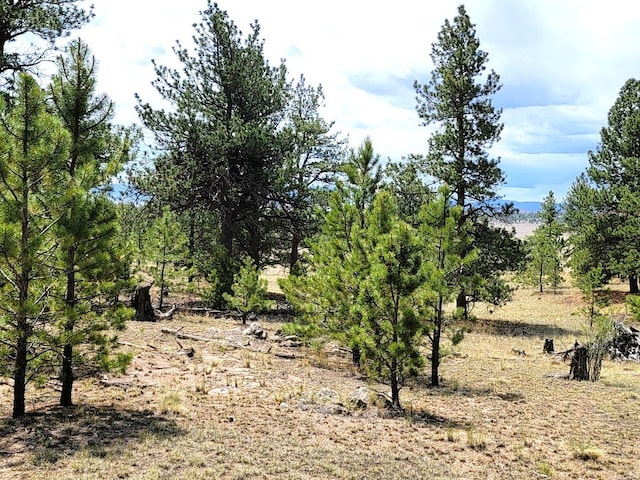 59 Zion Ct, Hartsel, CO 80449 - photo 14
