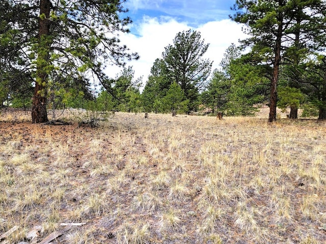 59 Zion Ct, Hartsel, CO 80449 - photo 33