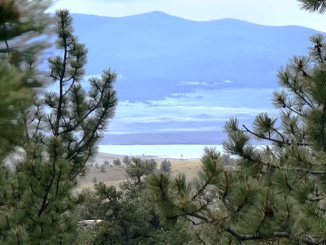 59 Zion Ct, Hartsel, CO 80449 - photo 3