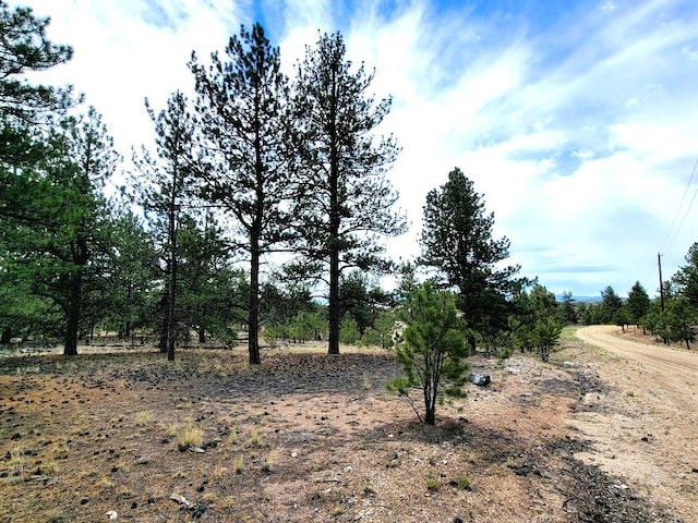 59 Zion Ct, Hartsel, CO 80449 - photo 9
