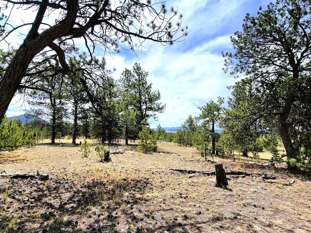 59 Zion Ct, Hartsel, CO 80449 - photo 19