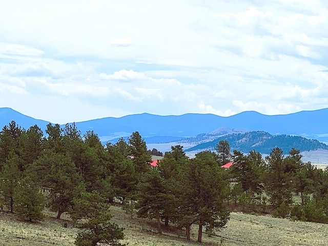 59 Zion Ct, Hartsel, CO 80449 - photo 1