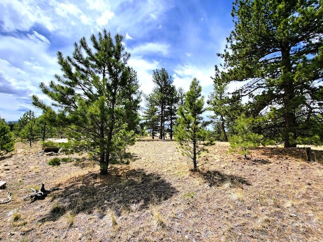 59 Zion Ct, Hartsel, CO 80449 - photo 26