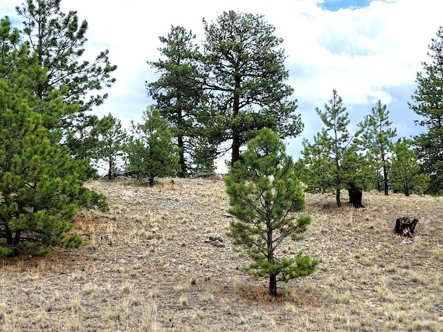 59 Zion Ct, Hartsel, CO 80449 - photo 40