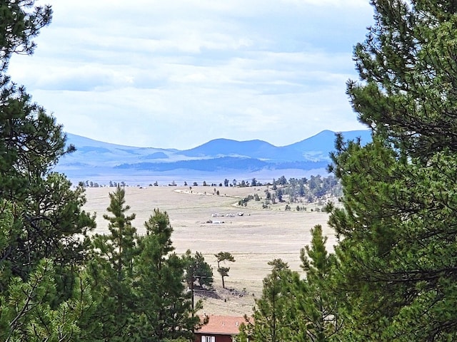 59 Zion Ct, Hartsel, CO 80449 - photo 2