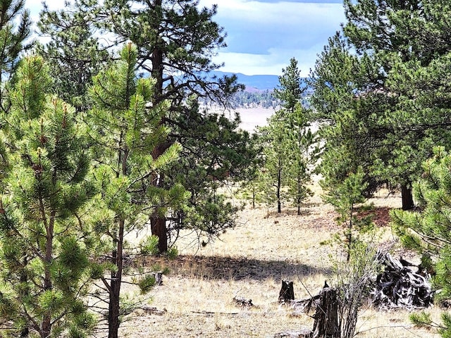 59 Zion Ct, Hartsel, CO 80449 - photo 15