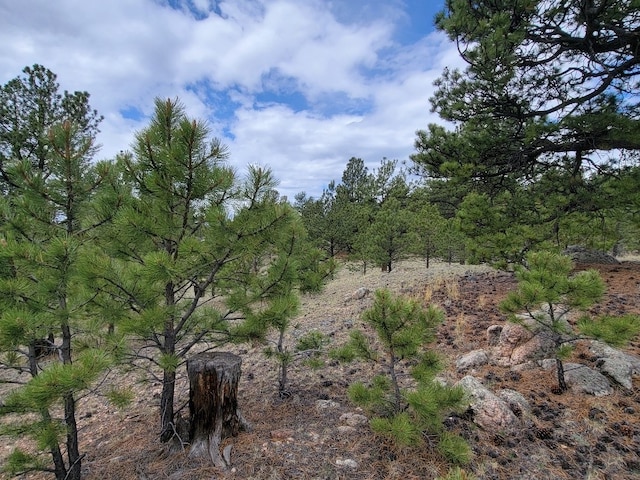 59 Zion Ct, Hartsel, CO 80449 - photo 36
