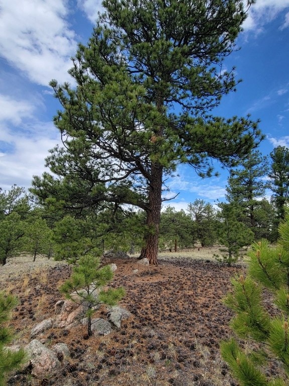 59 Zion Ct, Hartsel, CO 80449 - photo 35