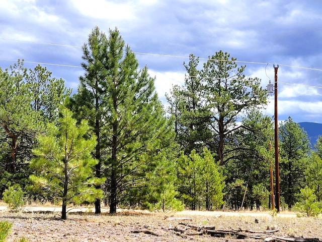 59 Zion Ct, Hartsel, CO 80449 - photo 21
