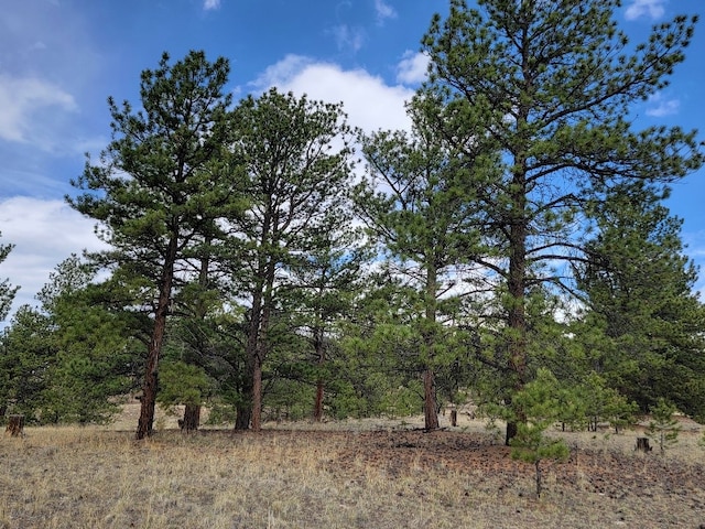 59 Zion Ct, Hartsel, CO 80449 - photo 31