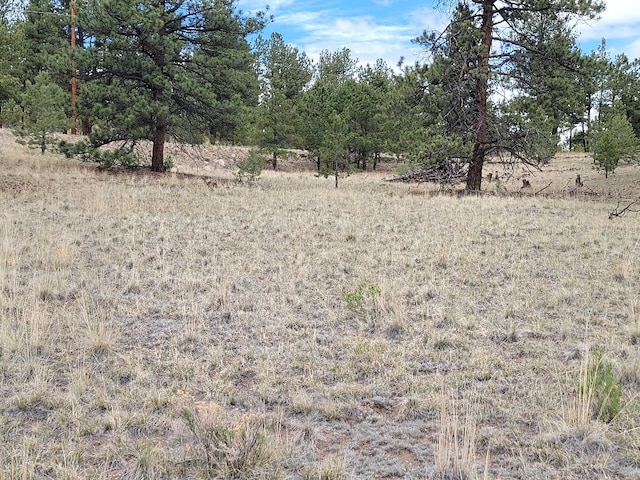 59 Zion Ct, Hartsel, CO 80449 - photo 38