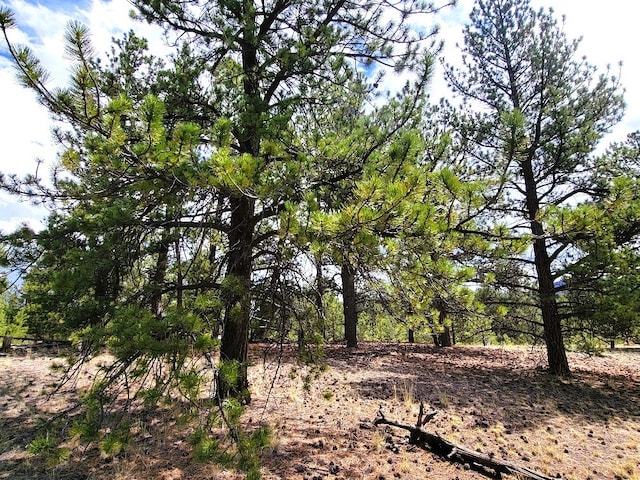 59 Zion Ct, Hartsel, CO 80449 - photo 16