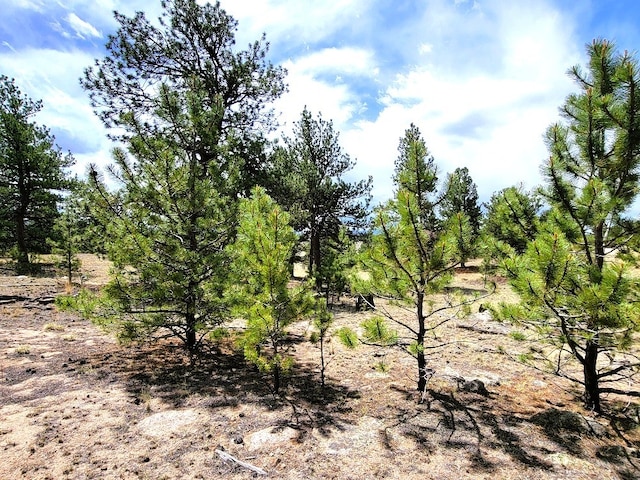 59 Zion Ct, Hartsel, CO 80449 - photo 18
