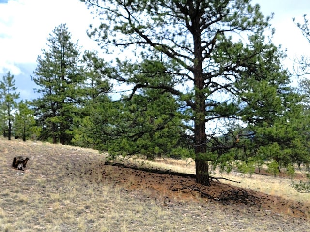 59 Zion Ct, Hartsel, CO 80449 - photo 41