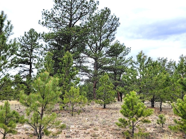 59 Zion Ct, Hartsel, CO 80449 - photo 47
