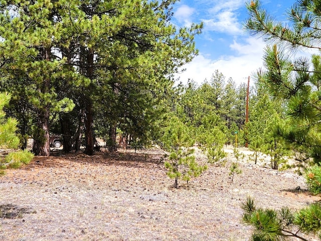 59 Zion Ct, Hartsel, CO 80449 - photo 24
