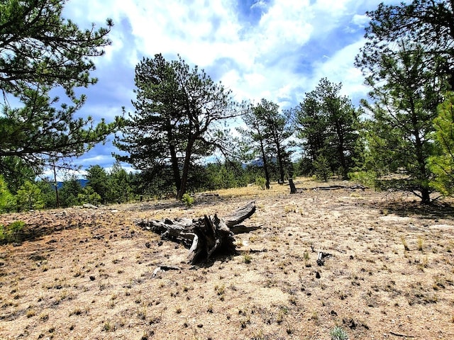 59 Zion Ct, Hartsel, CO 80449 - photo 17