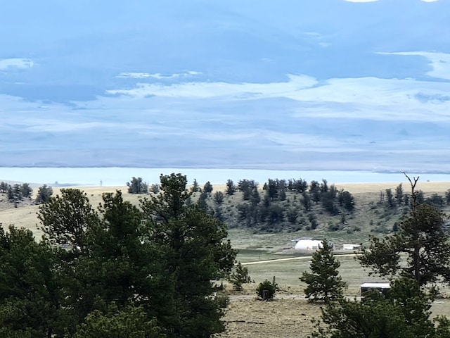 59 Zion Ct, Hartsel, CO 80449 - photo 5