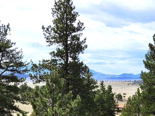 59 Zion Ct, Hartsel, CO 80449 - photo 6