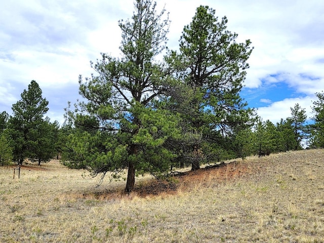 59 Zion Ct, Hartsel, CO 80449 - photo 45