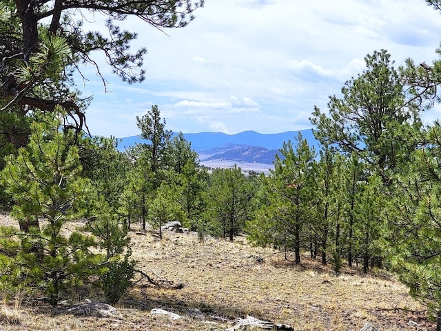 59 Zion Ct, Hartsel, CO 80449 - photo 20