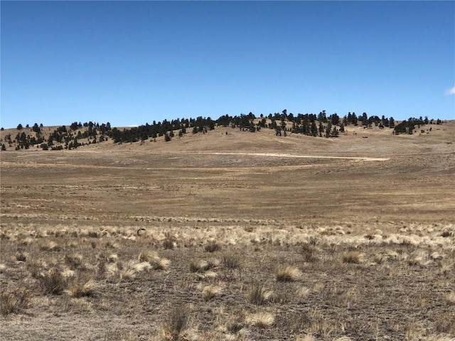 121 Commanche Trl, Hartsel, CO 80449