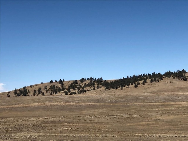 121 Commanche Trl, Hartsel, CO 80449