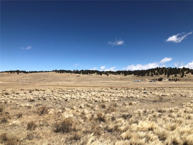 121 Commanche Trl, Hartsel, CO 80449
