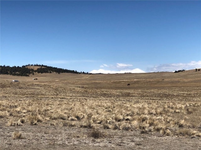 121 Commanche Trl, Hartsel, CO 80449