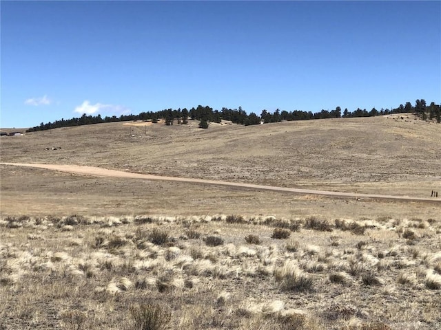 121 Commanche Trl, Hartsel, CO 80449