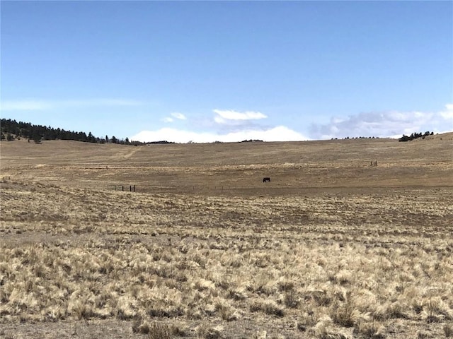 121 Commanche Trl, Hartsel, CO 80449