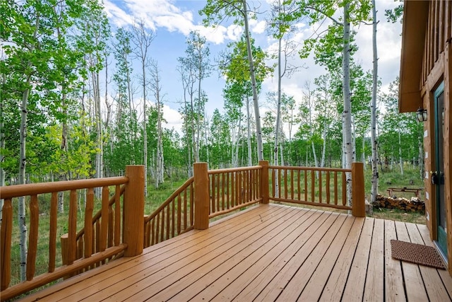 326 Canthook Ln, Fairplay, CO 80440 - photo 8