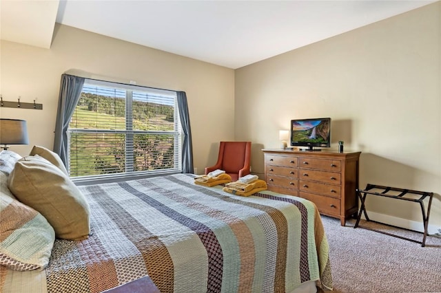 300 Base Camp Cir Unit 405, Granby, CO 80446 - bedroom featuring carpet and baseboards